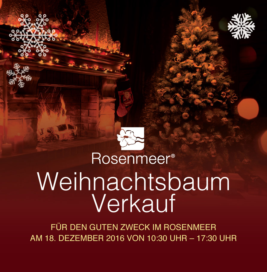 Weihnachtsbaum-Verkauf am 18. Dezember 2016 - Rosenmeer